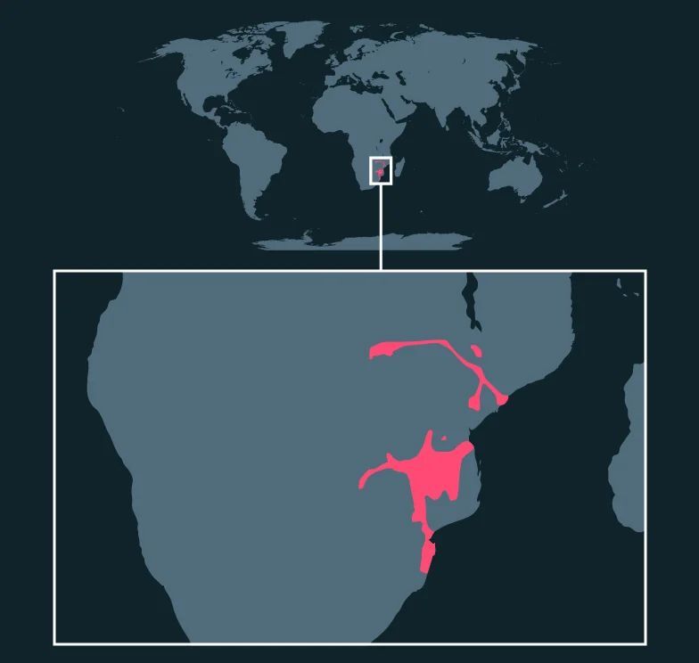 Nyala