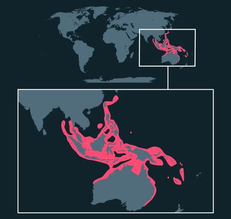 Longfin Batfish