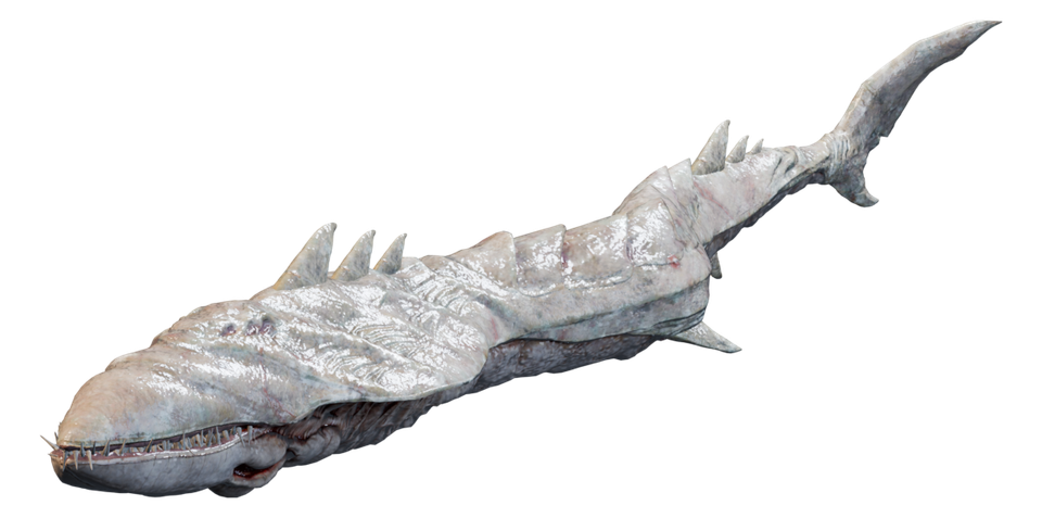 Prime Swampshark