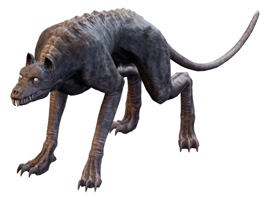 尋血獵犬