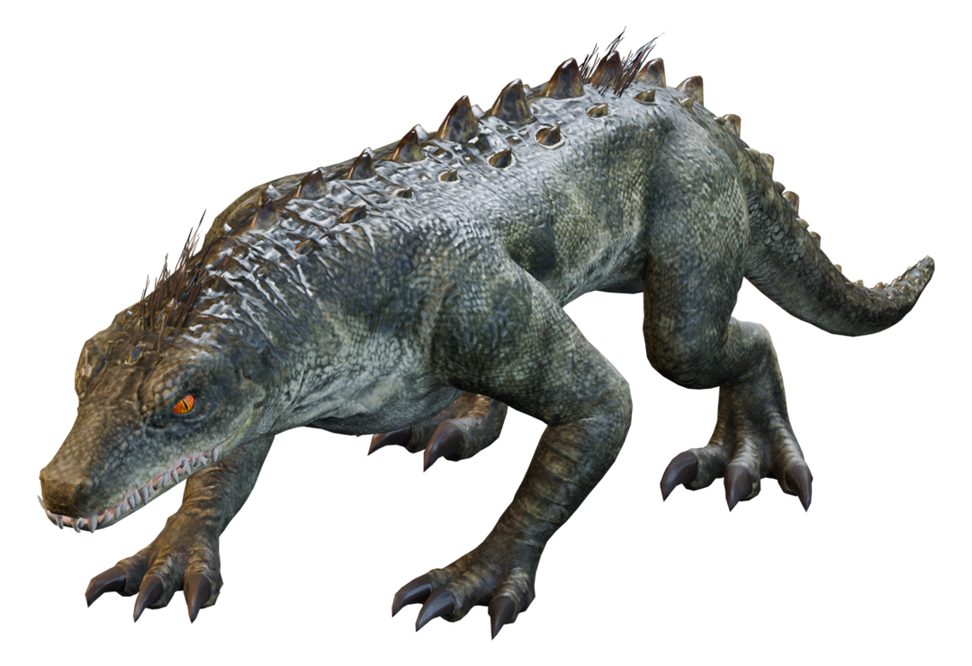 Lizard