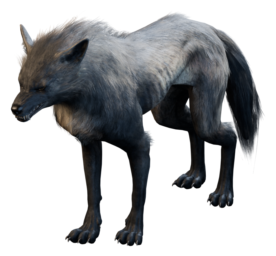 Cohsel's Wolf