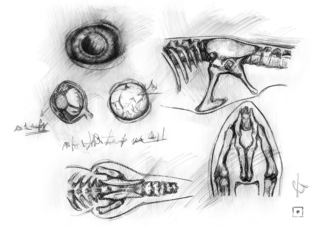 The Bestiary of Khorinis I