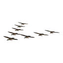 Migrating Ducks