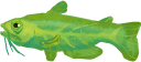 Grüner Riffkopf