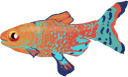 Rossesole dorato