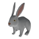 White Rabbit