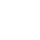 Lotusblume