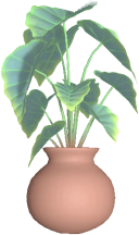Flower Pot