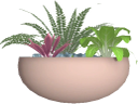 Flower Pot