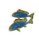 Pargos Orientais