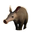 Porco-da-terra