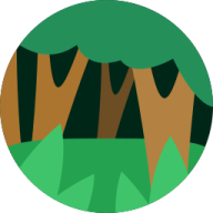 Closed Canopy Forest