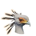 蛇鹫