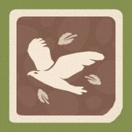 Birds of a Feather