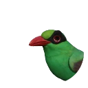 Javan Green Magpie