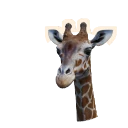 Netzgiraffe