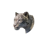 Leopardo de las nieves