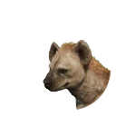 Krokuta cętkowana