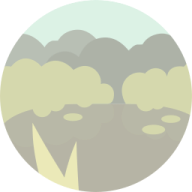 Swamp