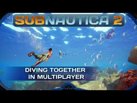 Multiplayer Co-op