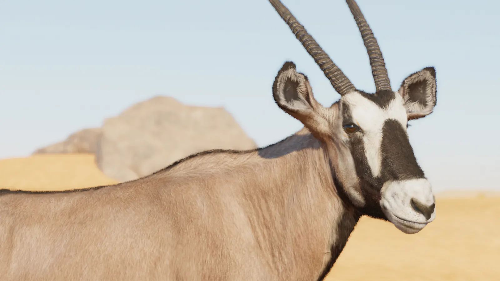 Gemsbok