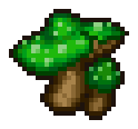 Swamp mushroom