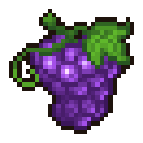 Grapes