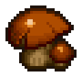 Brown Mushroom