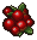 Berry Seeker