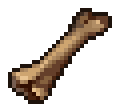 Bones