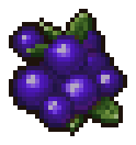 Blueberry