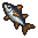 Tuna
