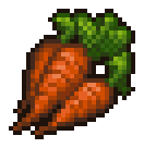 Carrot
