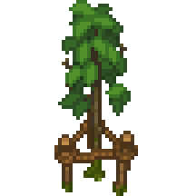 Apfelbaum