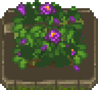 Blumenbeet II