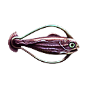 醃漬的圈圈魚