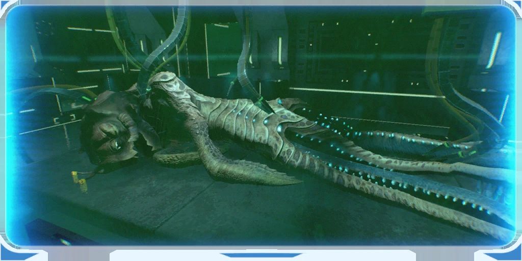 Sea Emperor Fetus