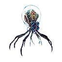 Crabsquid