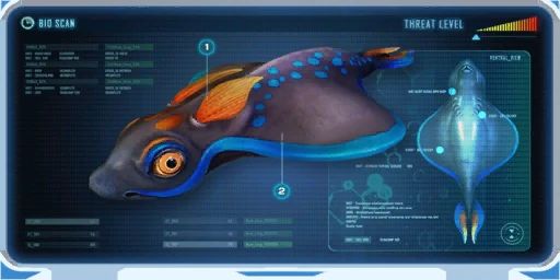 Rabbit Ray