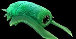 Rockgrub