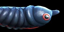 Lava larva