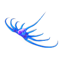 Jellyray