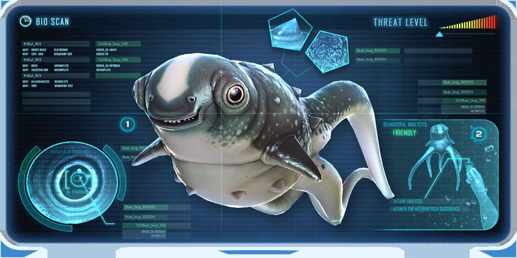 Cuddlefish