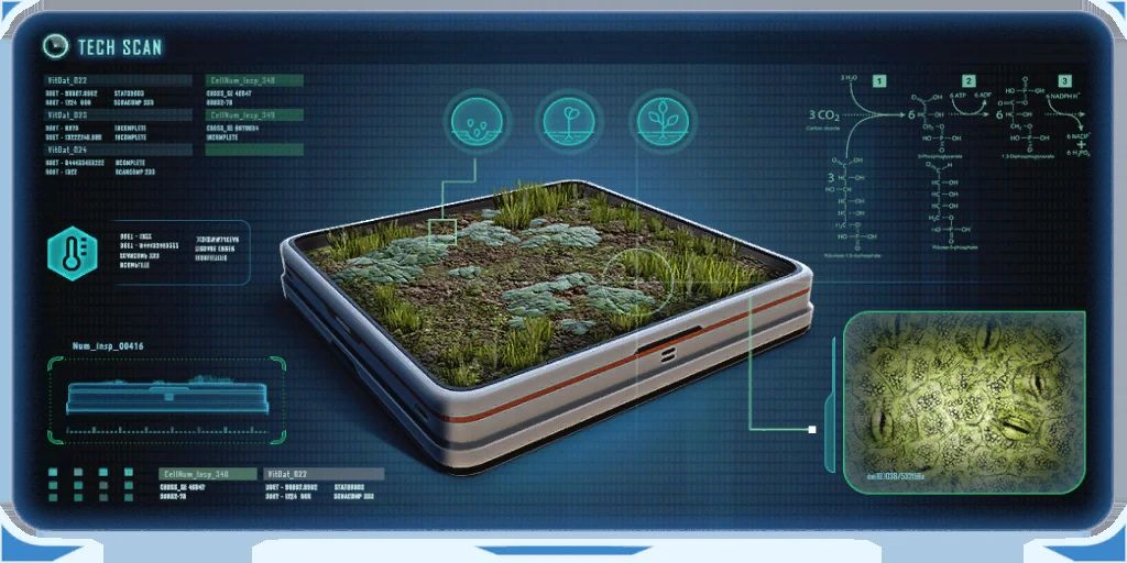 Interior Growbed