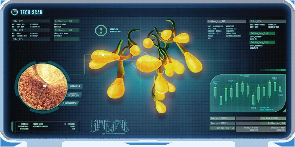 Creepvine Seeds