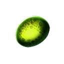 Concentrated Enzyme 42