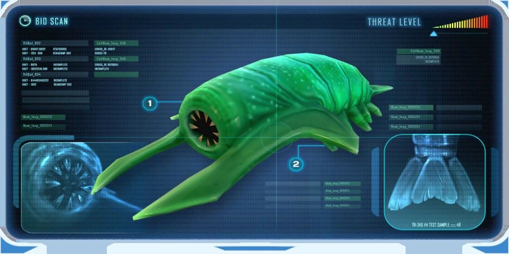 Rockgrub