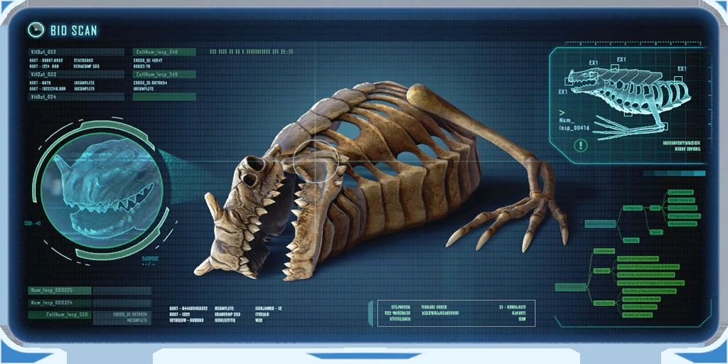 Sea Dragon Skeleton