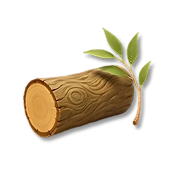 Willow Wood